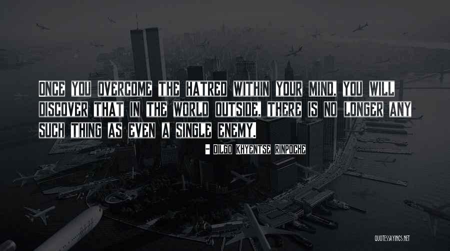 Proberen Vertalen Quotes By Dilgo Khyentse Rinpoche Proberen Vertalen Quotes By Dilgo Khyentse Rinpoche