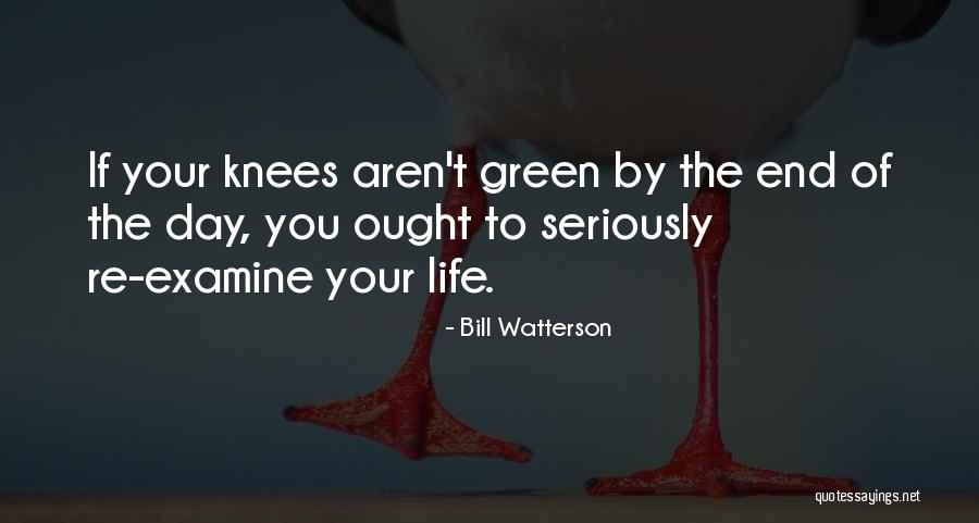 Probinsyano Quotes By Bill Watterson Probinsyano Quotes By Bill Watterson