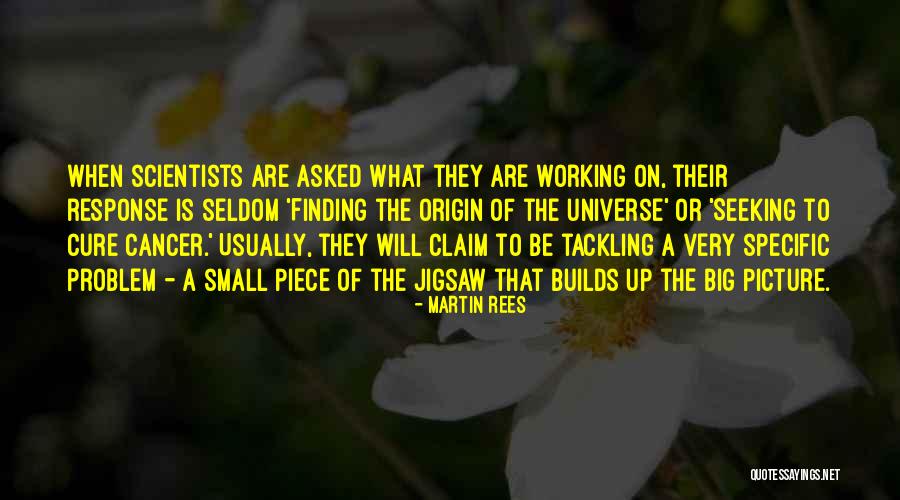 Problem Finding Quotes By Martin Rees Problem Finding Quotes By Martin Rees
