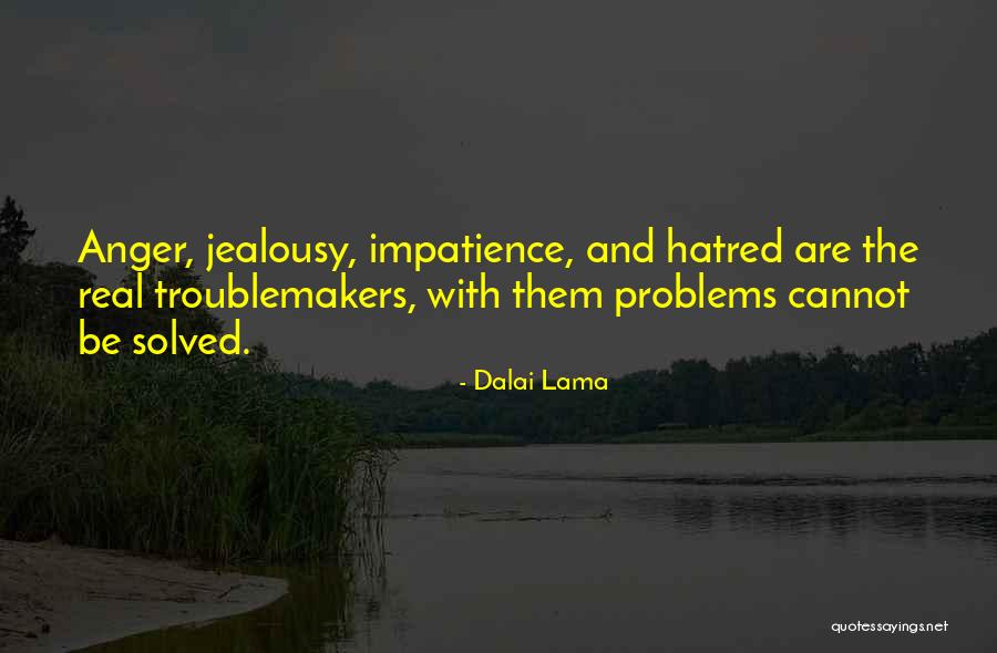 Problem Solved Quotes By Dalai Lama