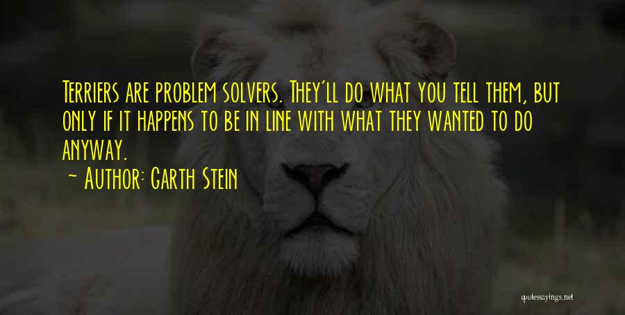 Problem Solvers Quotes By Garth Stein