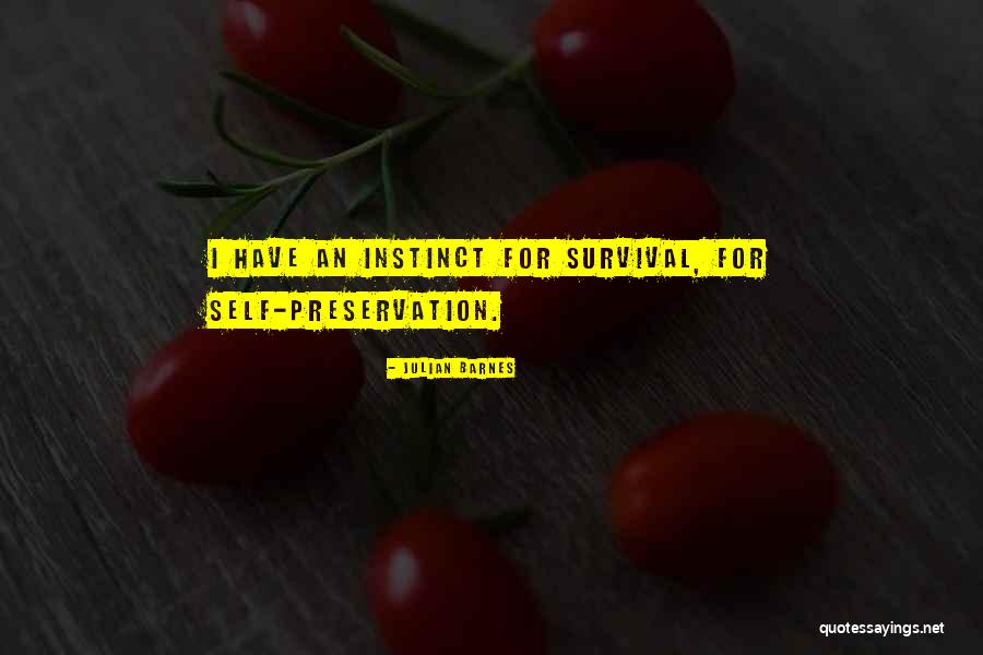 Problem Solving Skills Quotes By Julian Barnes Problem Solving Skills Quotes By Julian Barnes