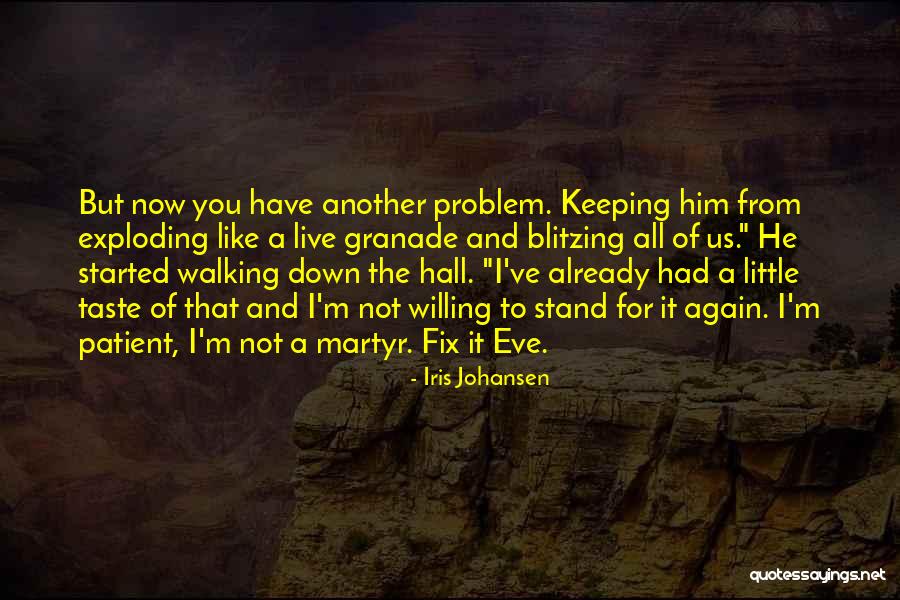 Problem We All Live With Quotes By Iris Johansen