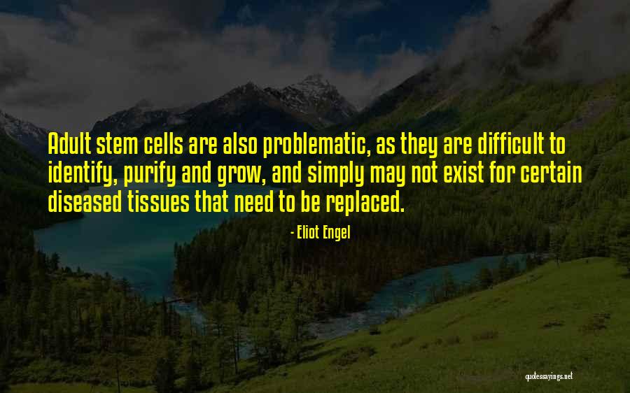 Problematic Quotes By Eliot Engel Problematic Quotes By Eliot Engel