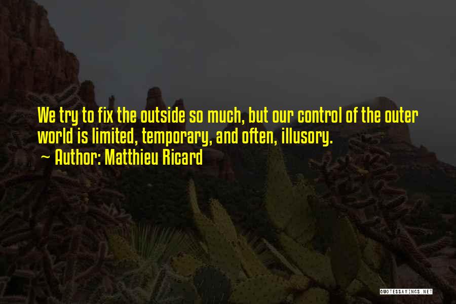 Problems And Happiness Quotes By Matthieu Ricard