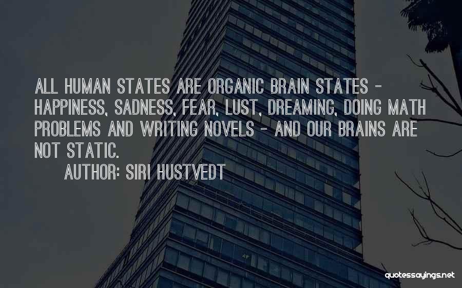 Problems And Happiness Quotes By Siri Hustvedt