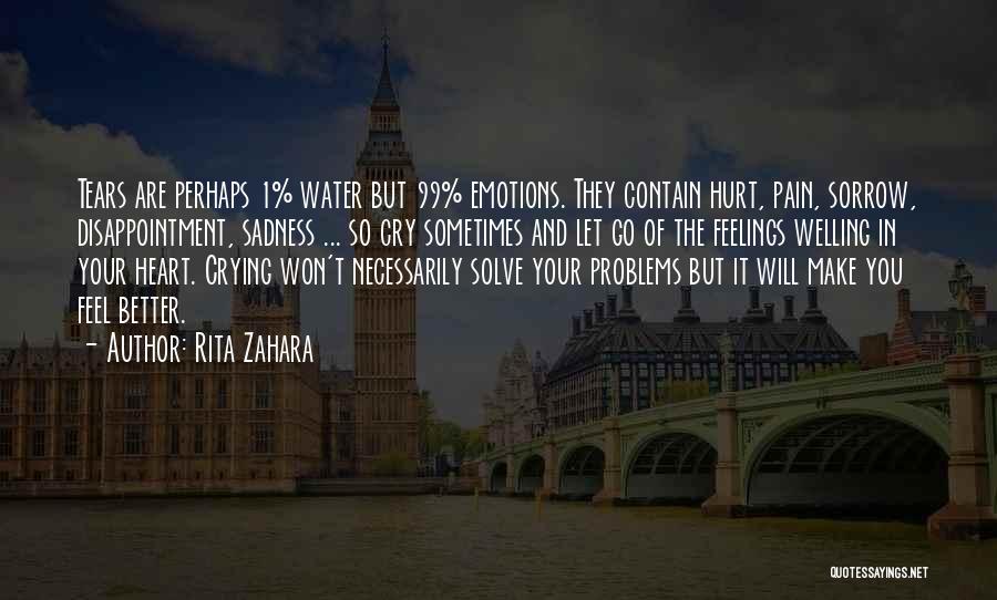 Problems And Pain Quotes By Rita Zahara