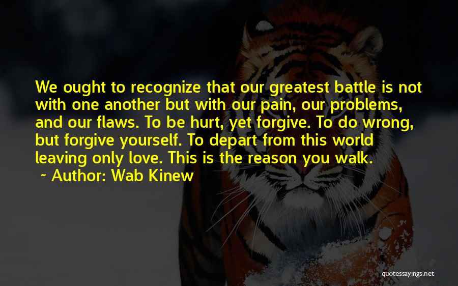 Problems And Pain Quotes By Wab Kinew