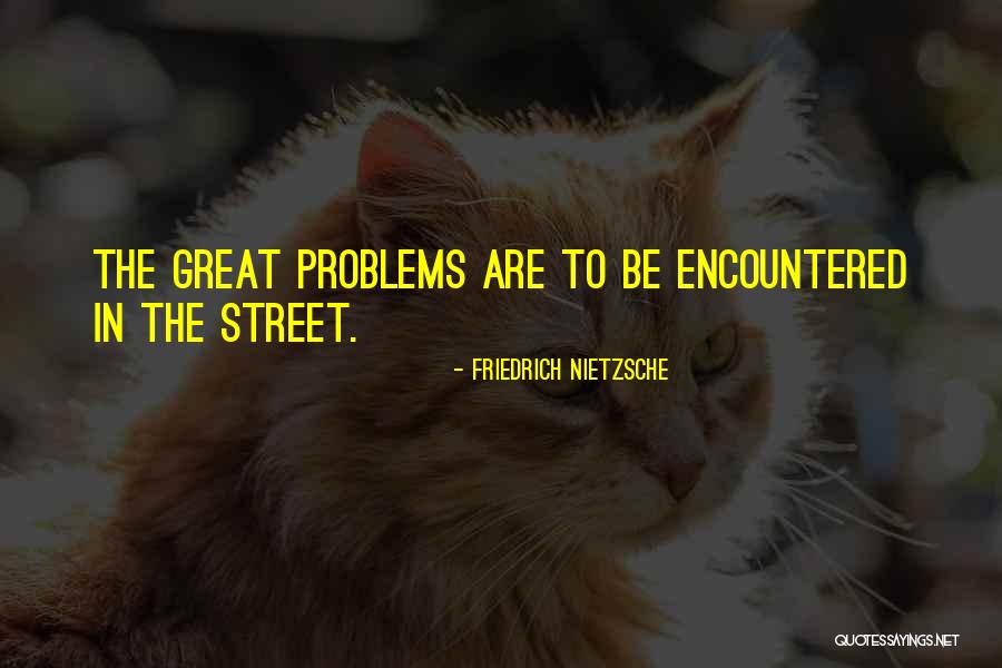 Problems Encountered Quotes By Friedrich Nietzsche Problems Encountered Quotes By Friedrich Nietzsche