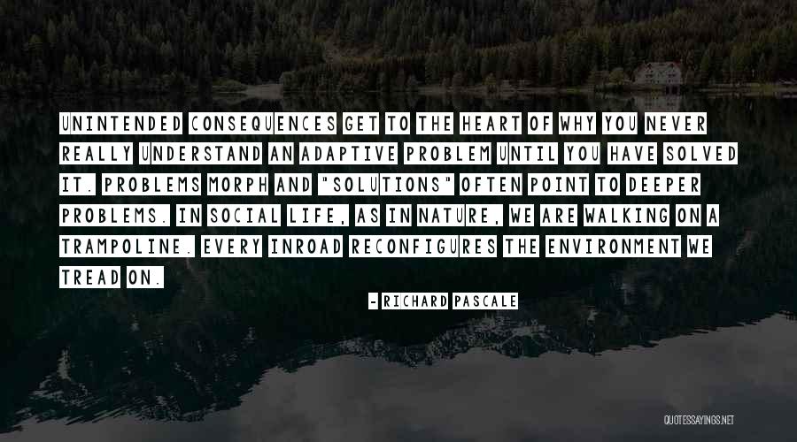 Problems Get Solved Quotes By Richard Pascale Problems Get Solved Quotes By Richard Pascale