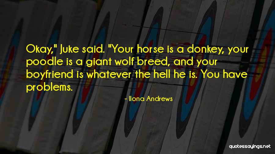 Problems In Boyfriend Quotes By Ilona Andrews Problems In Boyfriend Quotes By Ilona Andrews