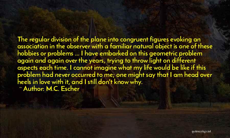 Problems In My Life Quotes By M.C. Escher