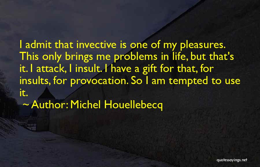 Problems In My Life Quotes By Michel Houellebecq