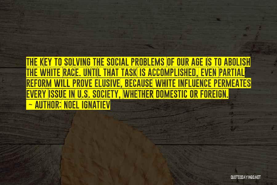 Problems In Society Quotes By Noel Ignatiev