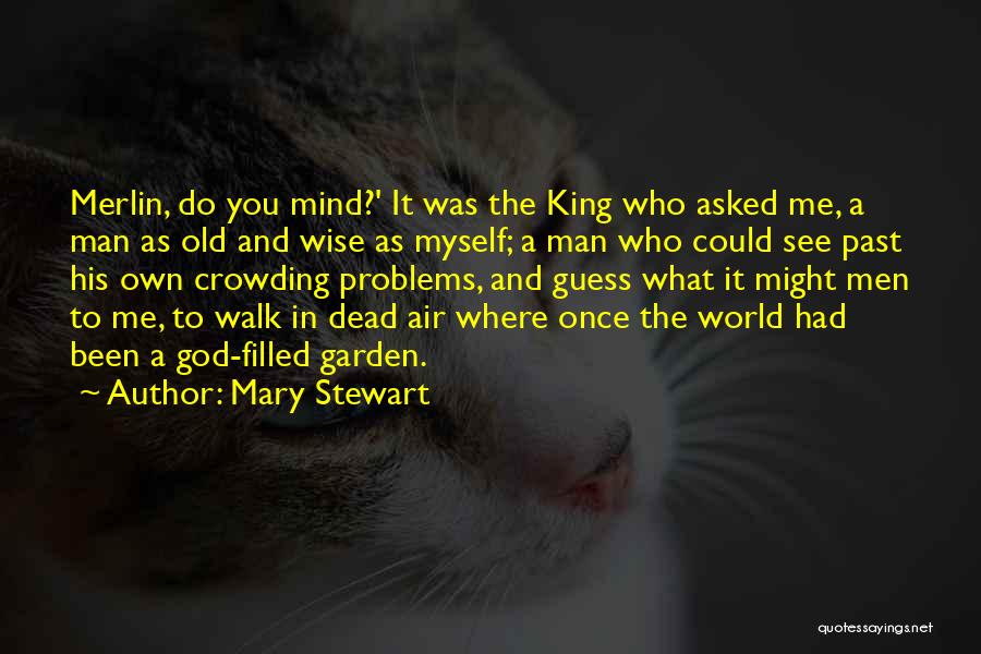 Problems In The World Quotes By Mary Stewart