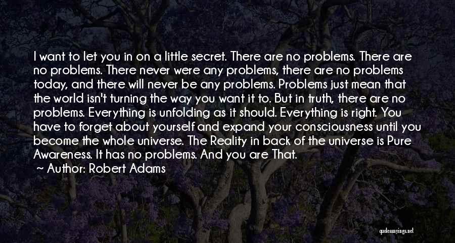Problems In The World Quotes By Robert Adams