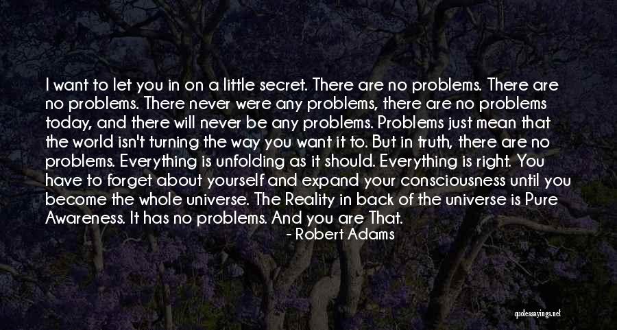 Problems In The World Quotes By Robert Adams