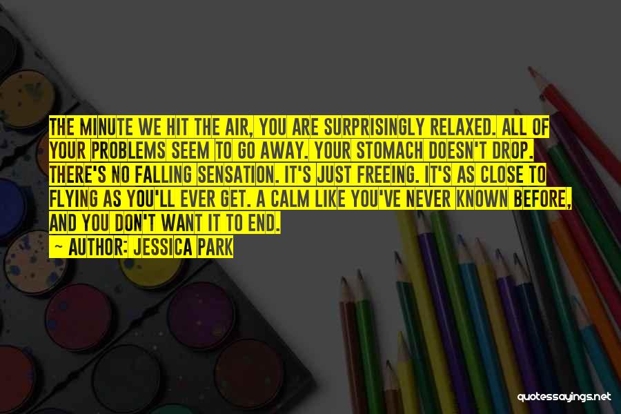 Problems Never End Quotes By Jessica Park