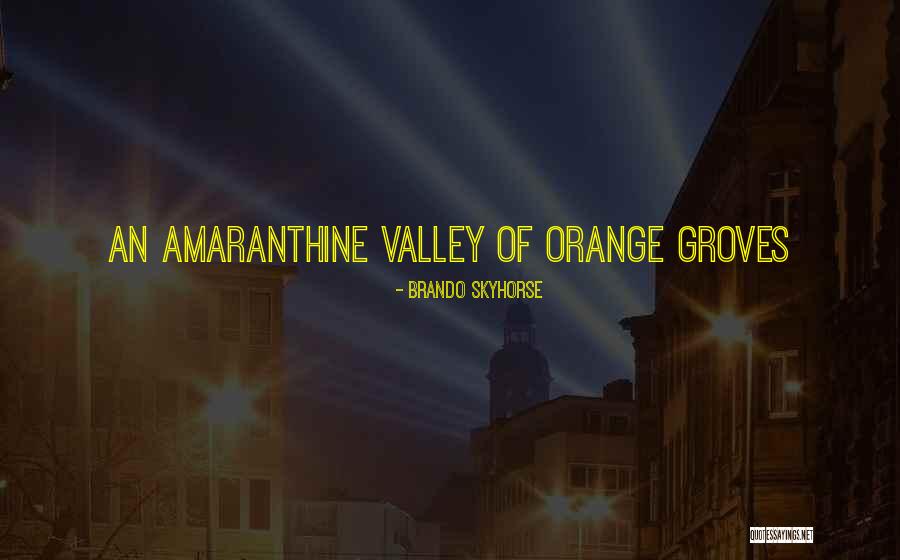 Procain Quotes By Brando Skyhorse Procain Quotes By Brando Skyhorse