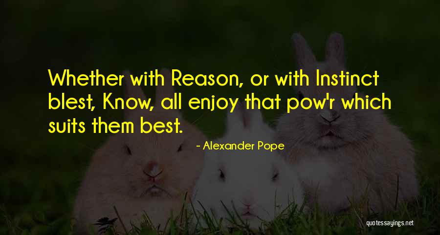 Procedural Programming Quotes By Alexander Pope Procedural Programming Quotes By Alexander Pope