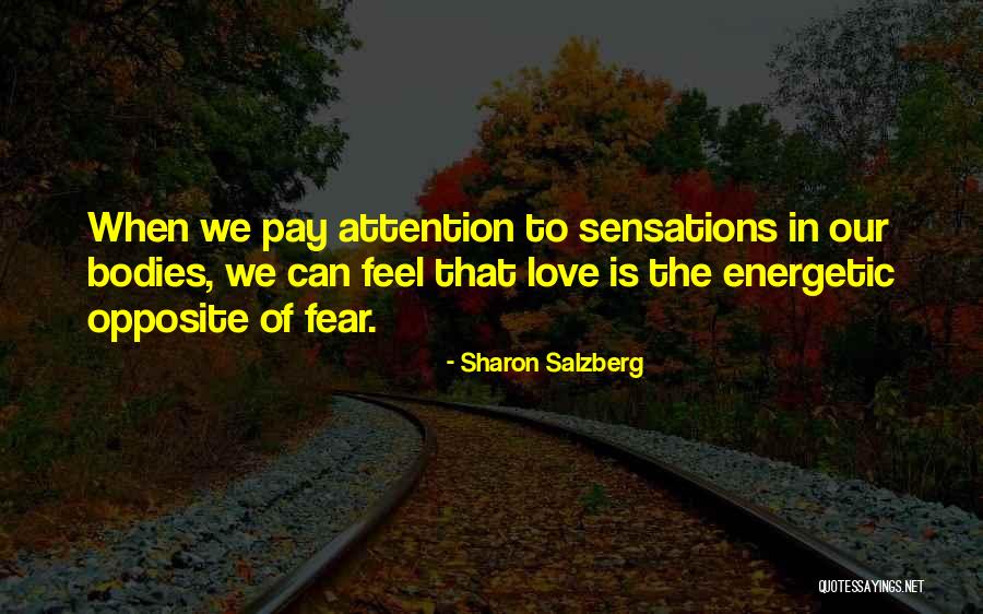 Procentu Skaiciavimo Quotes By Sharon Salzberg Procentu Skaiciavimo Quotes By Sharon Salzberg