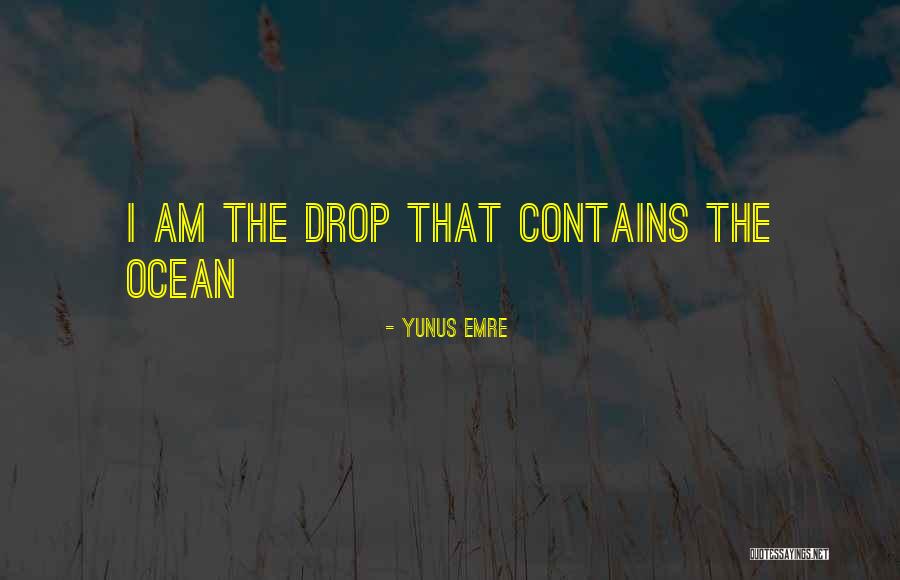 Procese Geomorfologice Quotes By Yunus Emre Procese Geomorfologice Quotes By Yunus Emre