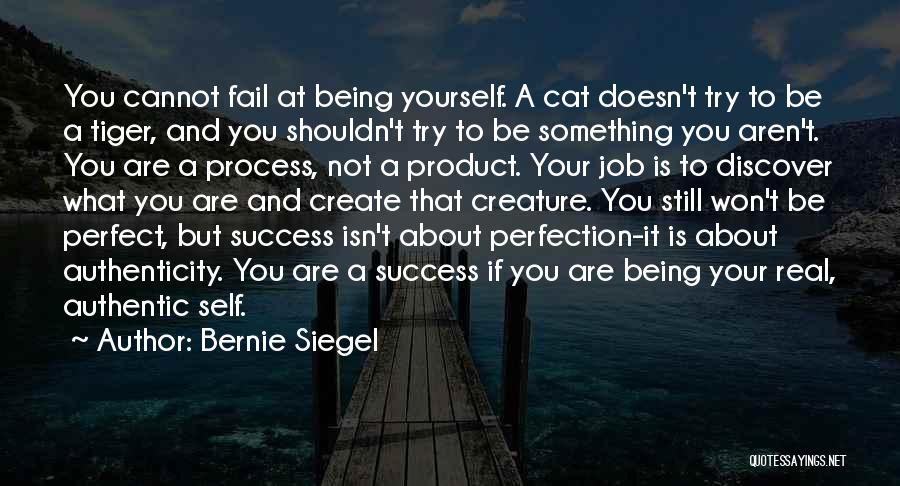 Process And Success Quotes By Bernie Siegel