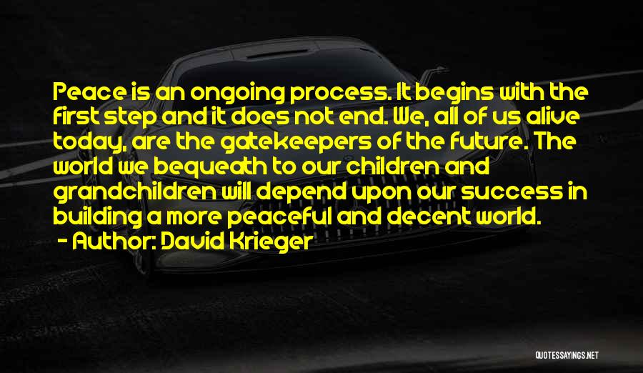 Process And Success Quotes By David Krieger