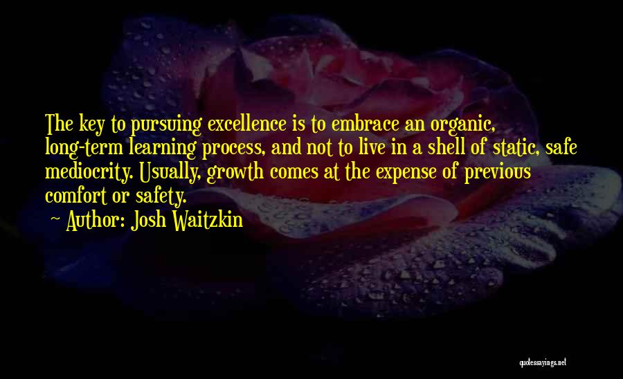 Process Excellence Quotes By Josh Waitzkin