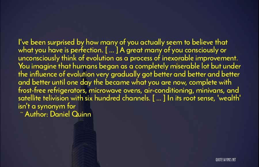 Process Improvement Quotes By Daniel Quinn