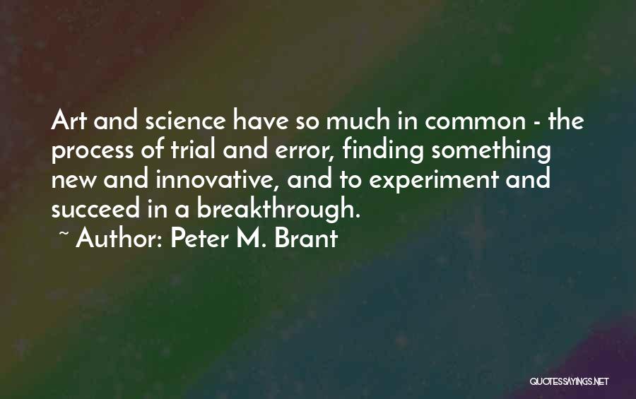 Process Of Art Quotes By Peter M. Brant