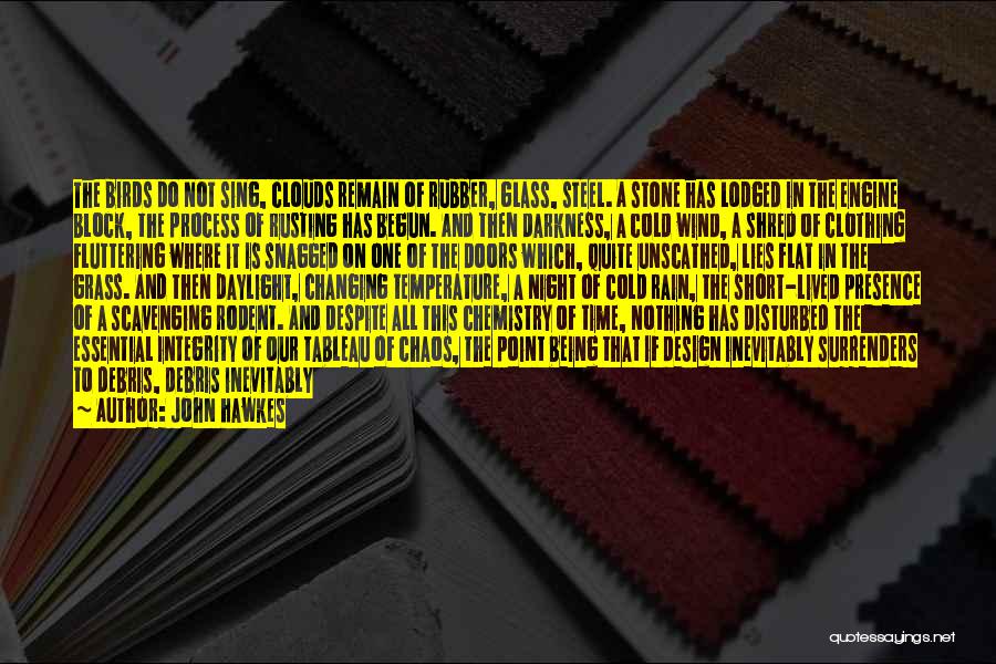 Process Of Design Quotes By John Hawkes