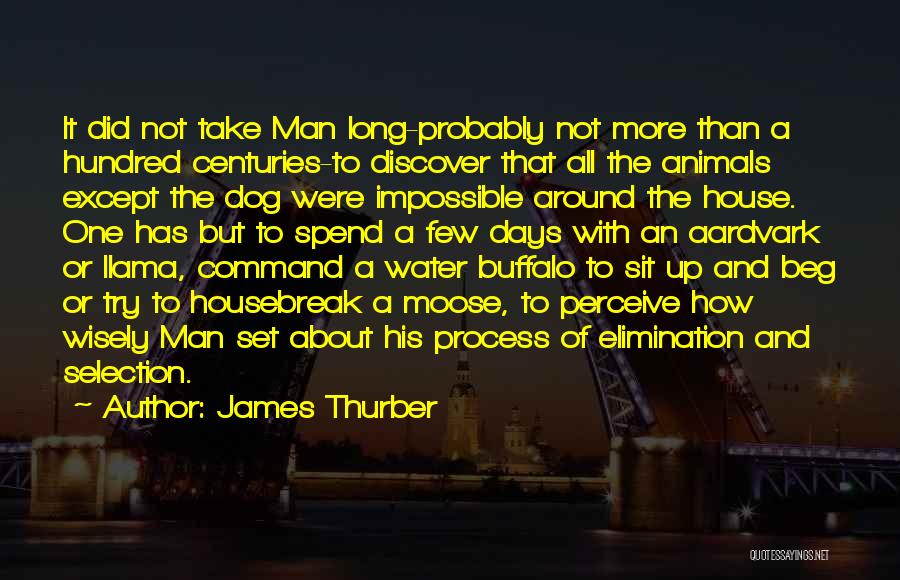 Process Of Elimination Quotes By James Thurber