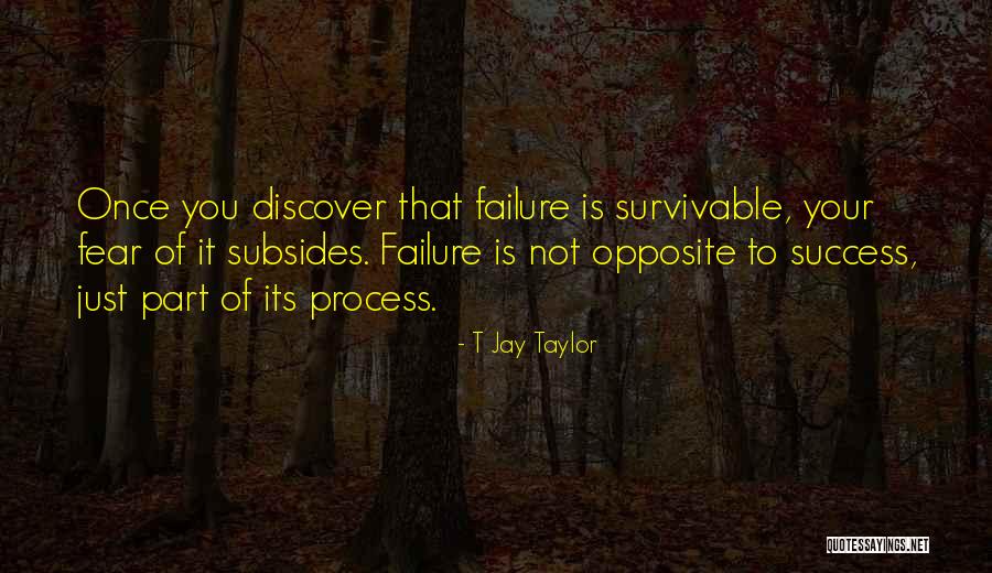 Process Of Success Quotes By T Jay Taylor Process Of Success Quotes By T Jay Taylor