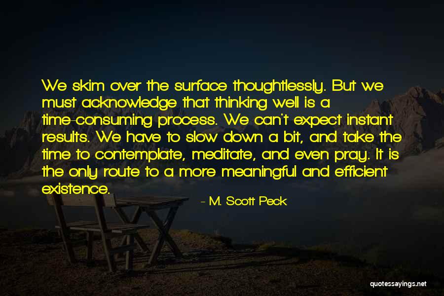 Process Over Results Quotes By M. Scott Peck Process Over Results Quotes By M. Scott Peck