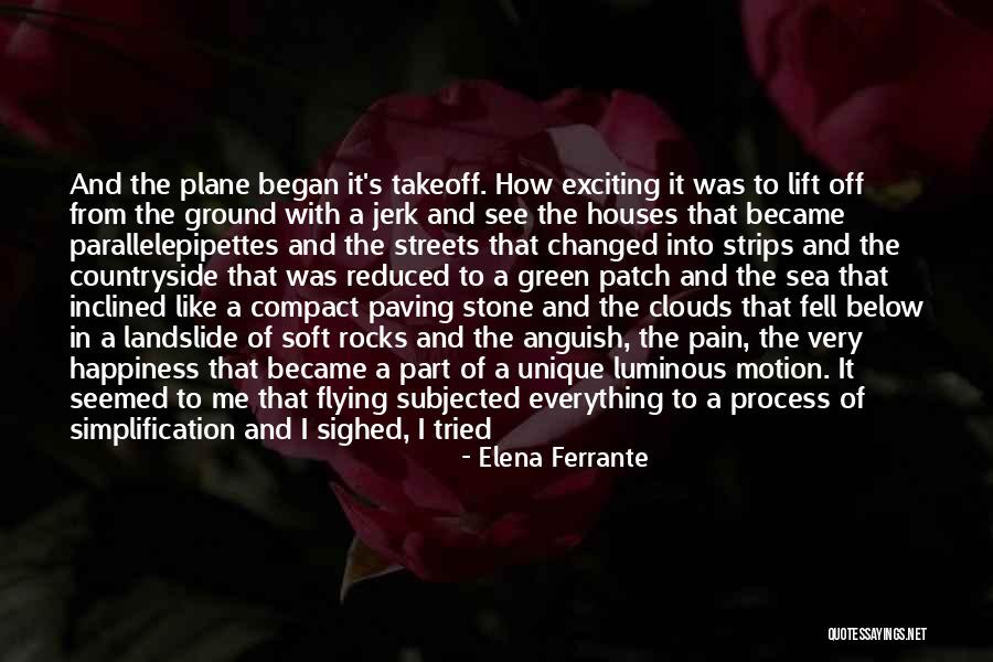 Process Simplification Quotes By Elena Ferrante Process Simplification Quotes By Elena Ferrante