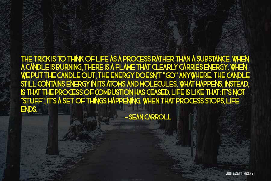 Process Which Atoms Quotes By Sean Carroll Process Which Atoms Quotes By Sean Carroll