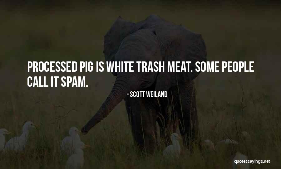 Processed Meat Quotes By Scott Weiland