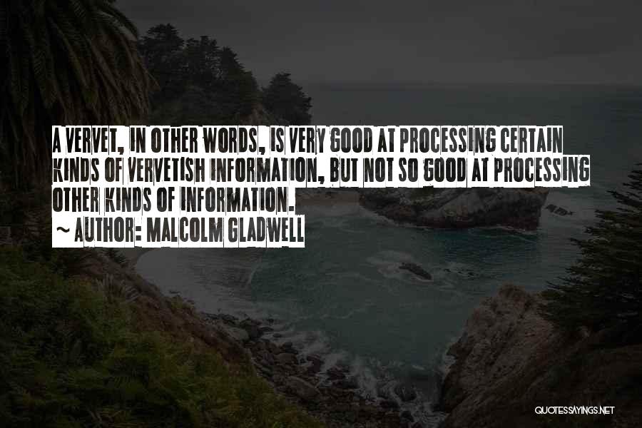Processing Information Quotes By Malcolm Gladwell