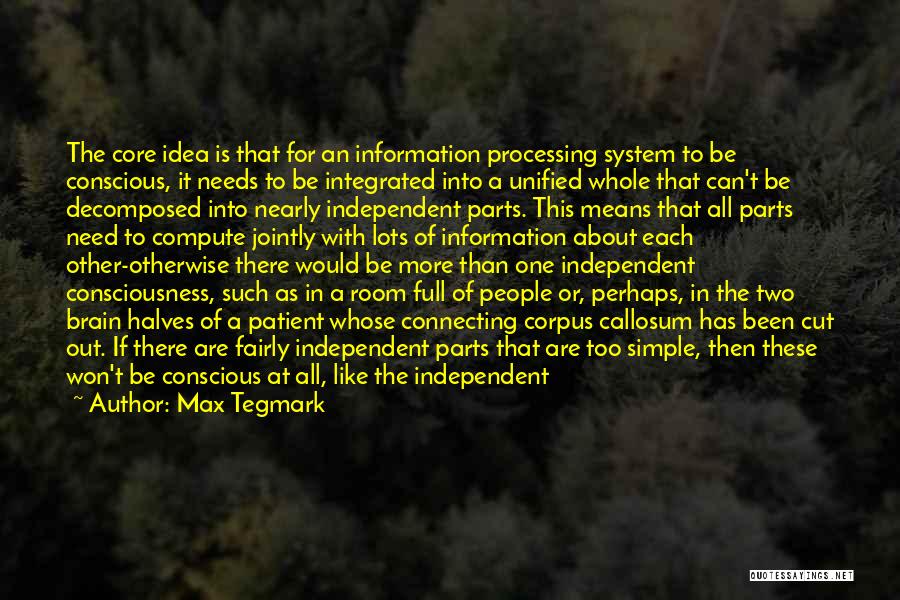 Processing Information Quotes By Max Tegmark