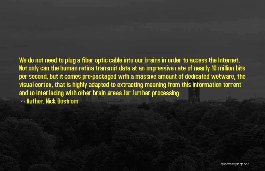 Processing Information Quotes By Nick Bostrom