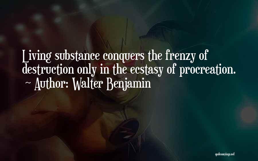 Procreation Quotes By Walter Benjamin