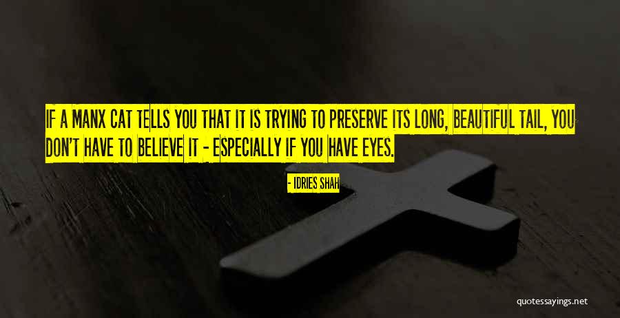 Procura Se Imoveis Quotes By Idries Shah Procura Se Imoveis Quotes By Idries Shah