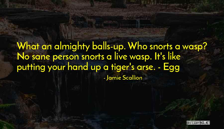 Prodeli Quotes By Jamie Scallion Prodeli Quotes By Jamie Scallion