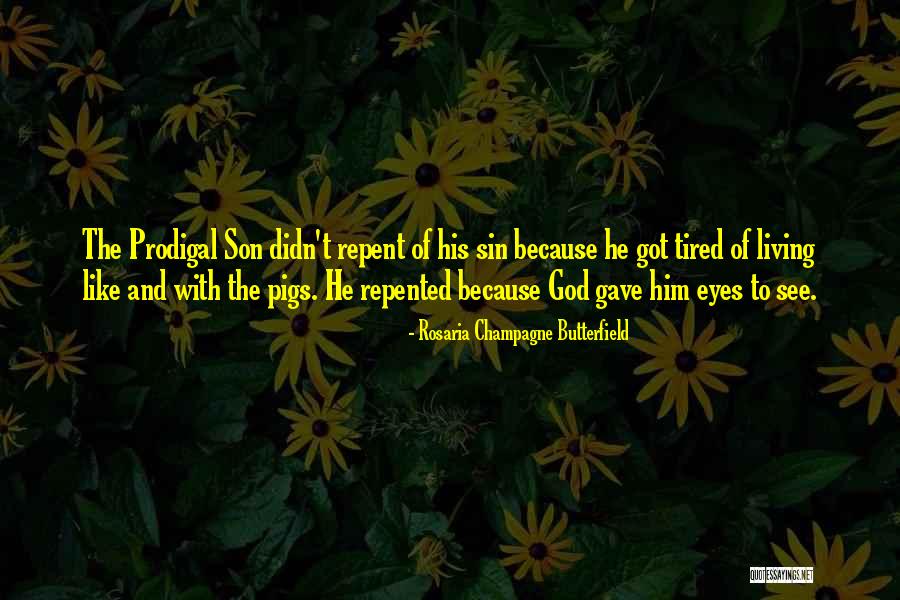 Prodigal Quotes By Rosaria Champagne Butterfield Prodigal Quotes By Rosaria Champagne Butterfield