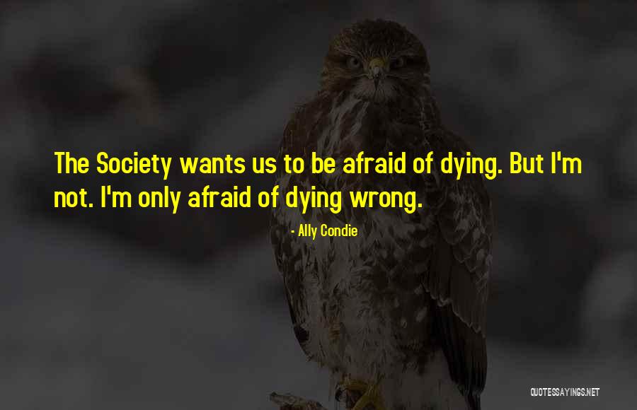 Prodigieux Vertaling Quotes By Ally Condie Prodigieux Vertaling Quotes By Ally Condie