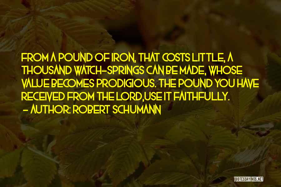 Prodigious Quotes By Robert Schumann