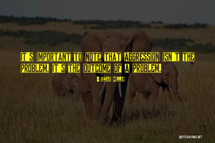 Prodigiously Amazing Quotes By Cesar Millan Prodigiously Amazing Quotes By Cesar Millan