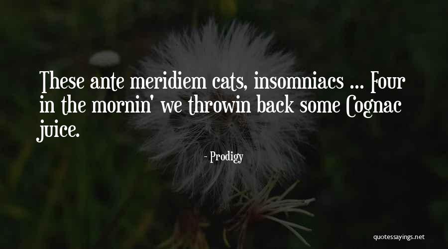 Prodigy Quotes 309107 Prodigy Quotes 309107