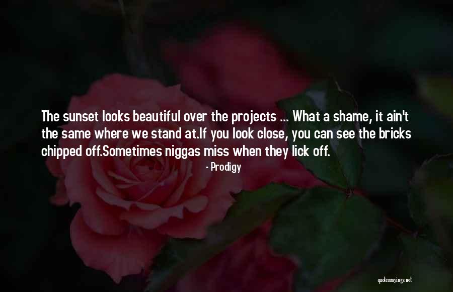 Prodigy Quotes 748977 Prodigy Quotes 748977